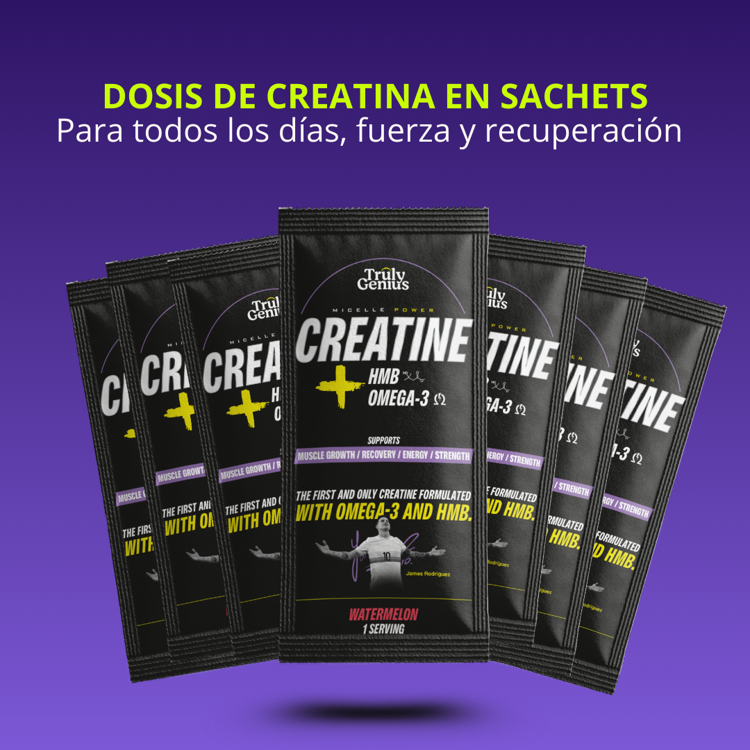 Creatina – Sachets Dosis Individual
